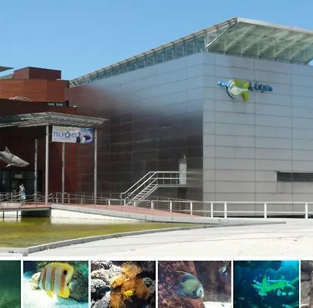 Lejlighed Primera Linea Playa+parking Gratis *