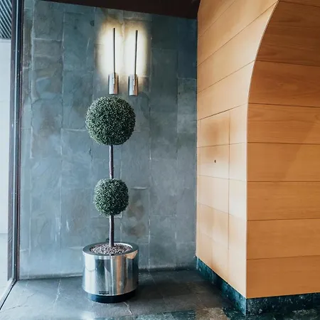 Primera Linea Playa+parking Gratis Gijon