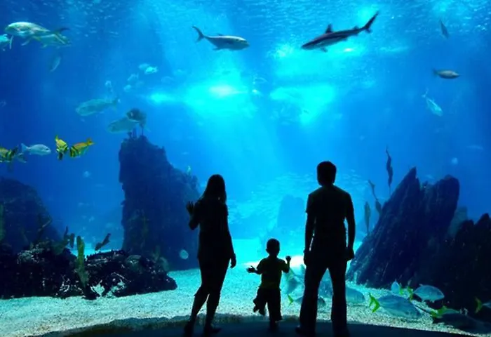 Primera Línea Playa+parking Gratis Apartamento Gijón