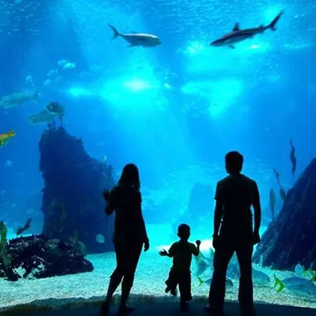 Primera Linea Playa+parking Gratis Апартаменты Хихон